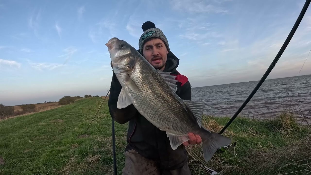 Catching big bass on the river humber - Holderness Coast -