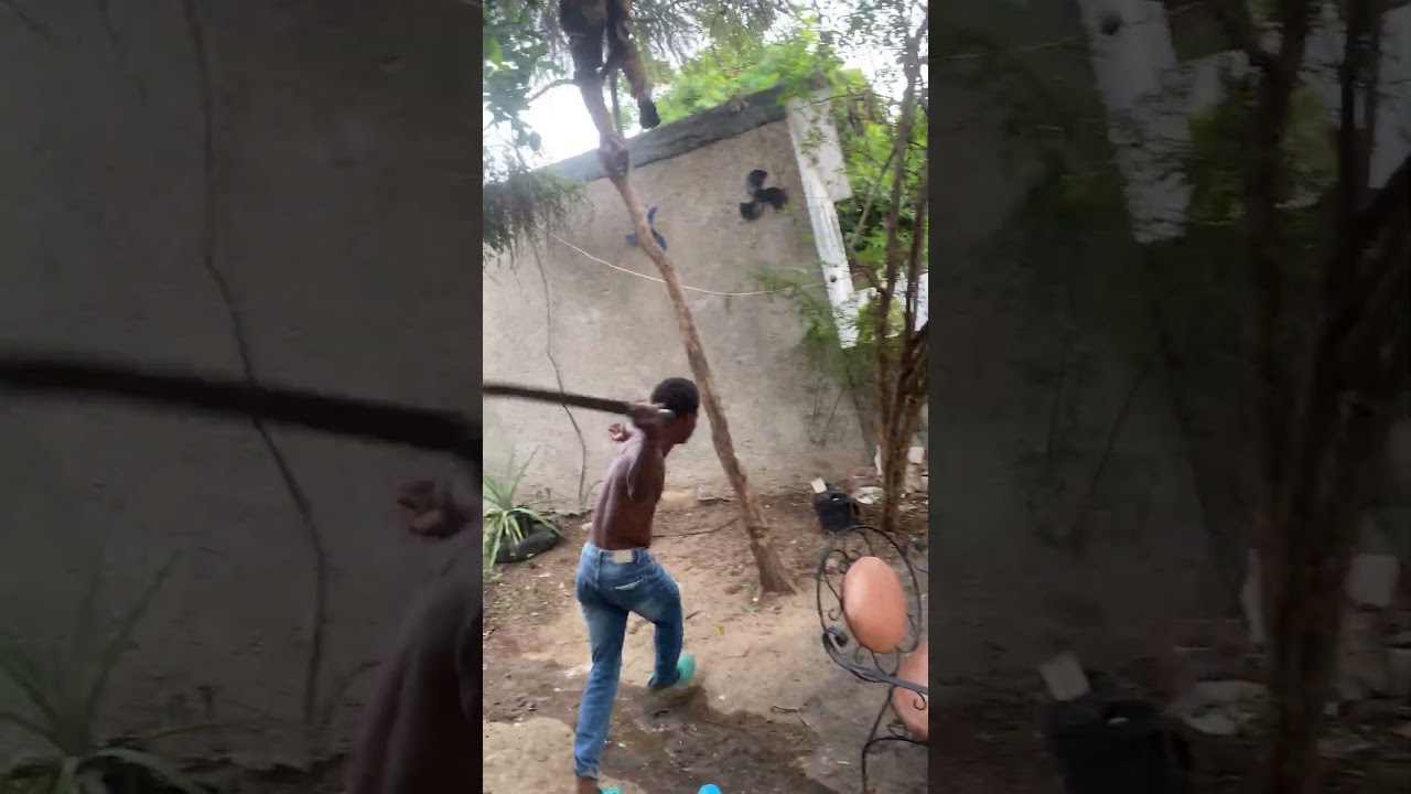 Huge fighting in Jamaica #trending #jamaica #shortsfeed #fighting #shorts