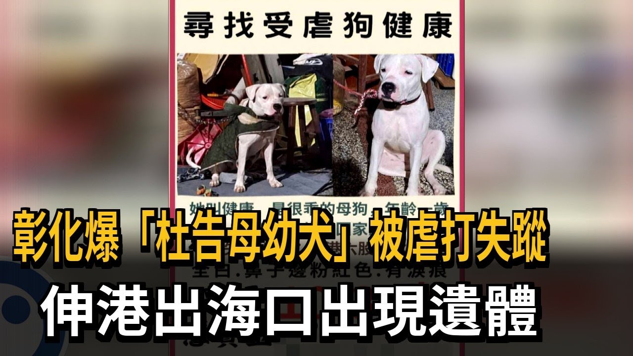 心碎！ 「懸賞30萬」追查虐犬 伸港出海口驚見杜告犬遺體－民視新聞