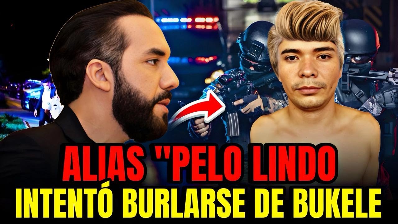 CAYÓ ALIAS 