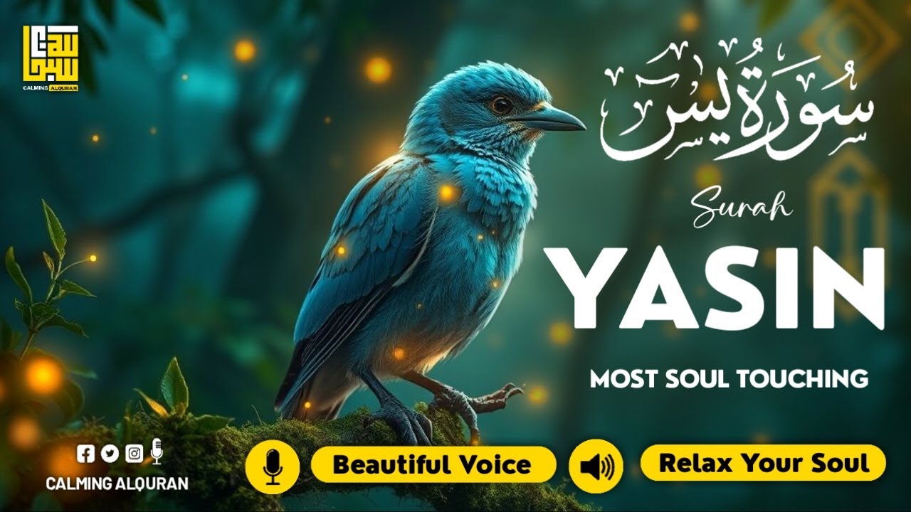 Surah Yasin (Yaseen) سورة يس ✦ Beautiful voice heart touching ✦ Majestic Quran For Sleep ✦ Alaa Aqel