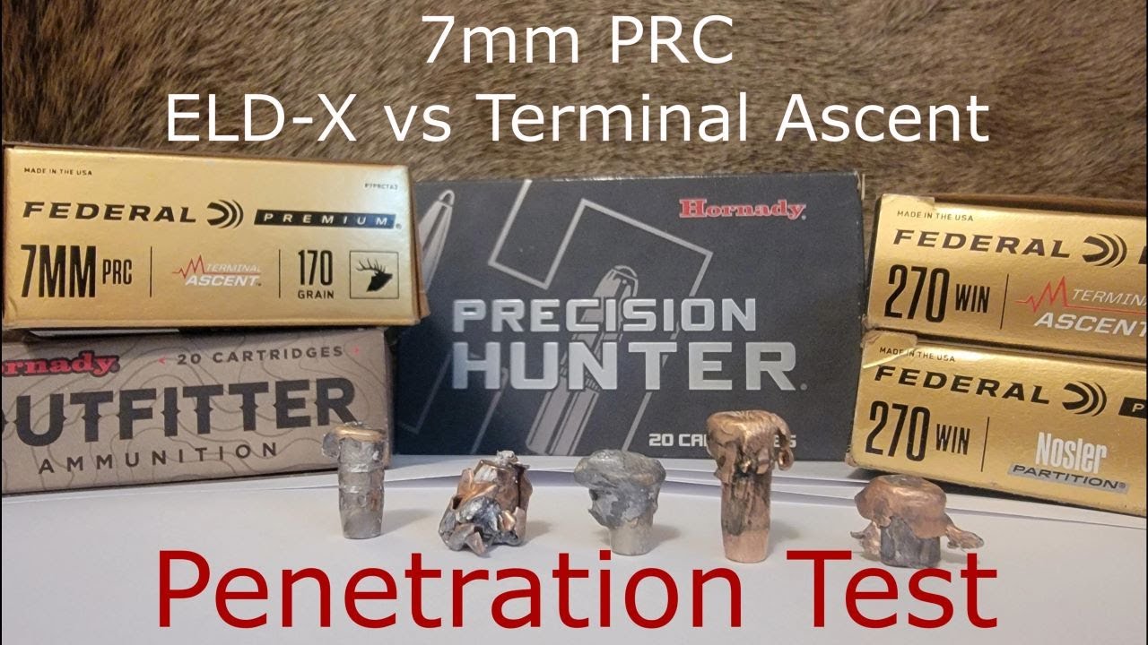 7mm PRC - Hornady ELD-X vs Federal Terminal Ascent - Penetration Test, Part 1 of 3