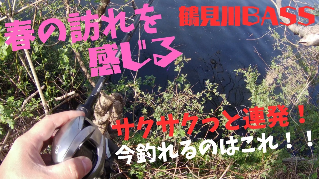 （実釣）3月１日サクサクっと連発で行こう！暖かくなってきてバス達も元気ですね！今年も釣りますよ～！