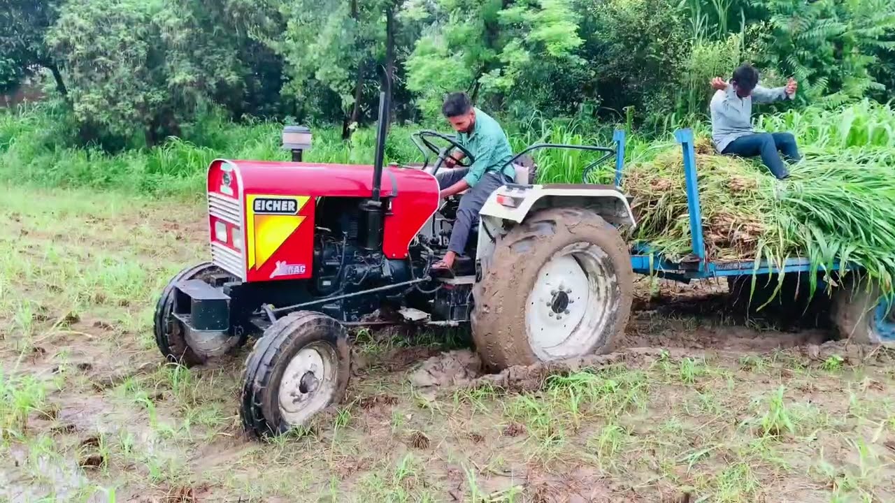 Aje ki vloge bhot ki maje dare hone vali hai friends share me subscribe channel friends