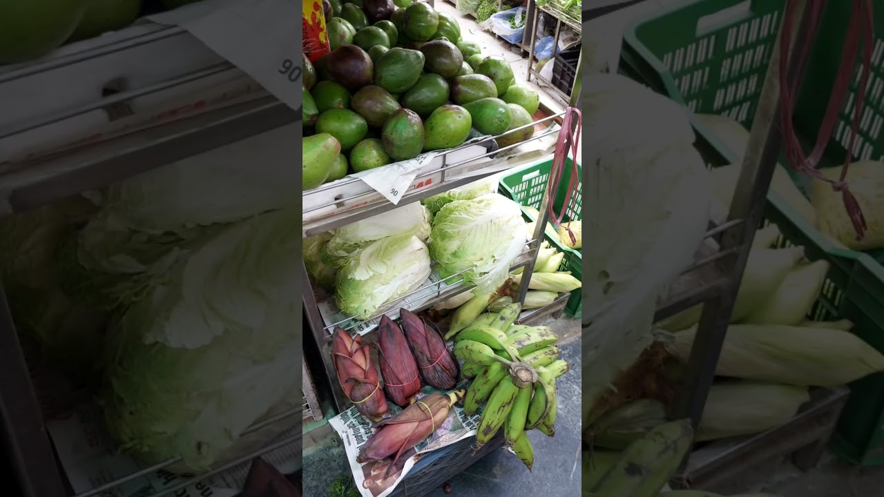 INA Market || Biggest meat market in India || Meats of the world || Meat n Fish market || Delhi haat