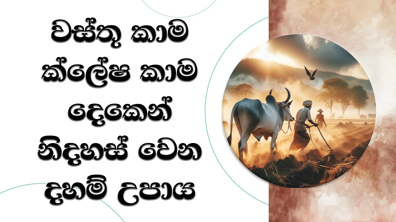 වස්තු කාම, ක්ලේෂ කාම දෙකෙන් නිදහස් වෙන දහම් උපාය.. Ven. Mankadawala Sudassana Thero #darmadeshana
