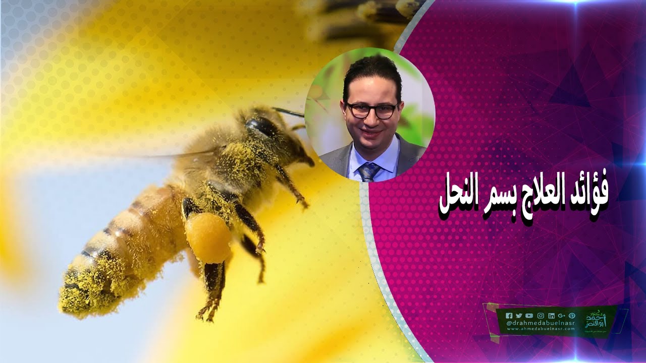 فؤائد العلاج بسم النحل - الدكتور أحمد أبو النصر