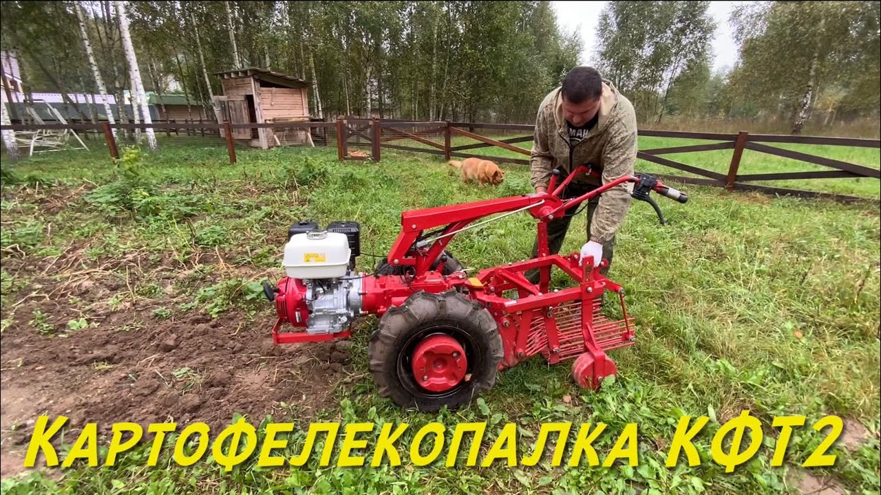 Наш опыт работы с картофелекопалкой КФТ2 на мотоблоке МТЗ