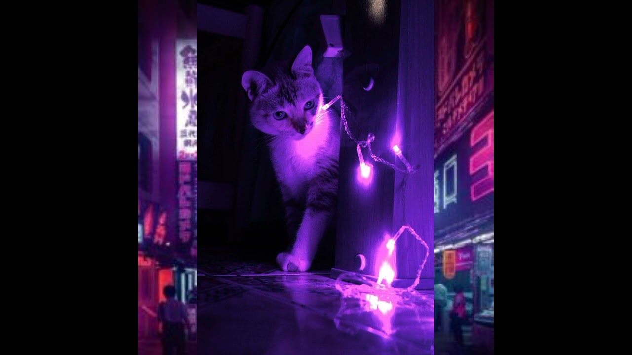 Озвучка фанфика по Соукоку 