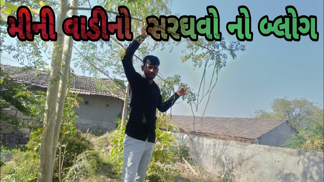 મીની વાડીનો  સરઘવો નો બ્લોગ #aravind 