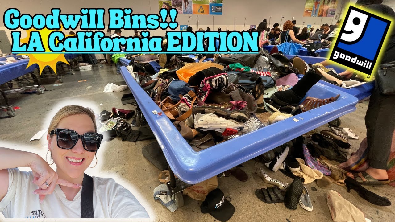 Lets Go To The Goodwill BINS ☀️CALIFORNIA☀️!! People Were Throwing Stuff Everywhere! IT WAS CHAOS! 👀