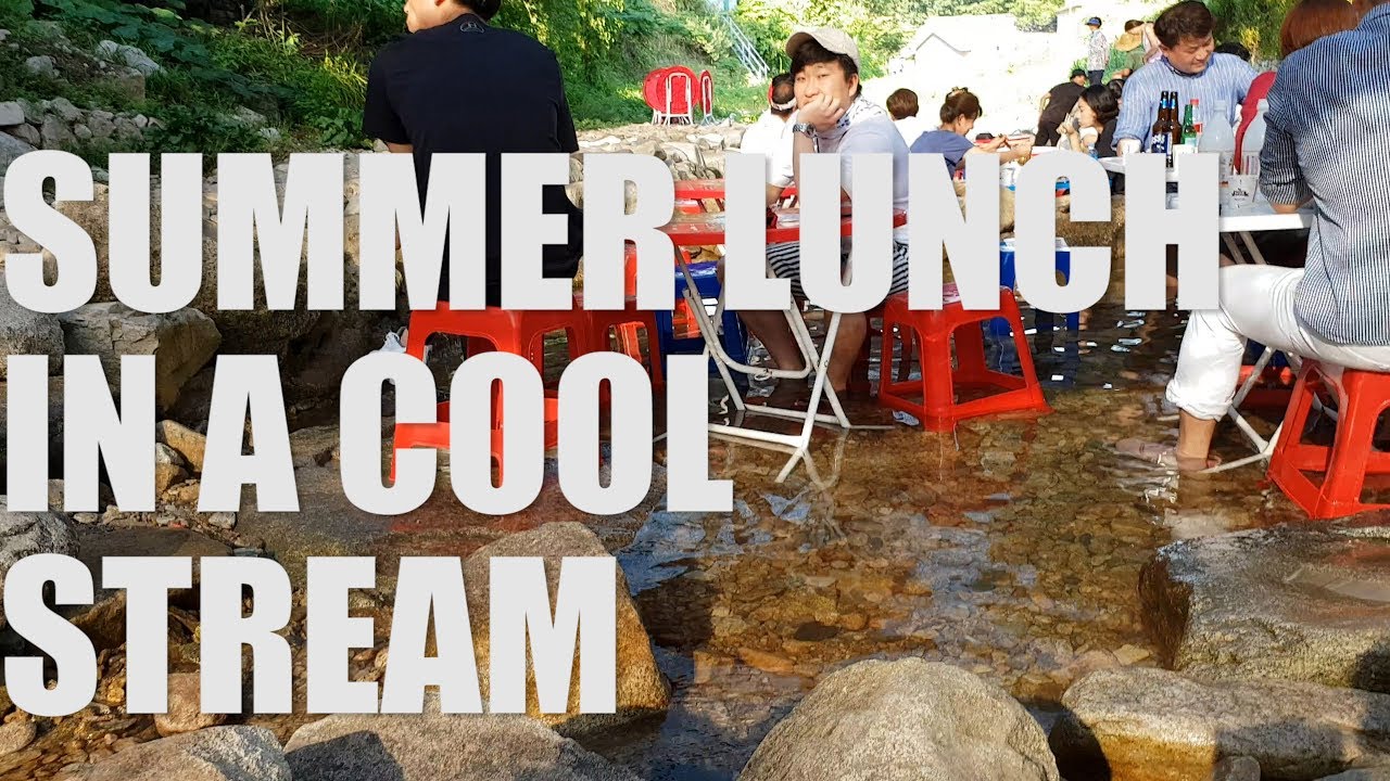 외국인들이 동학사계곡애 김치전과 도토리묵 맛 본 반응! Incredible Korean Lunch Experience in Fresh Stream Water!