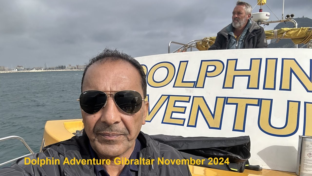 Dolphin Adventure Gibraltar November 2024