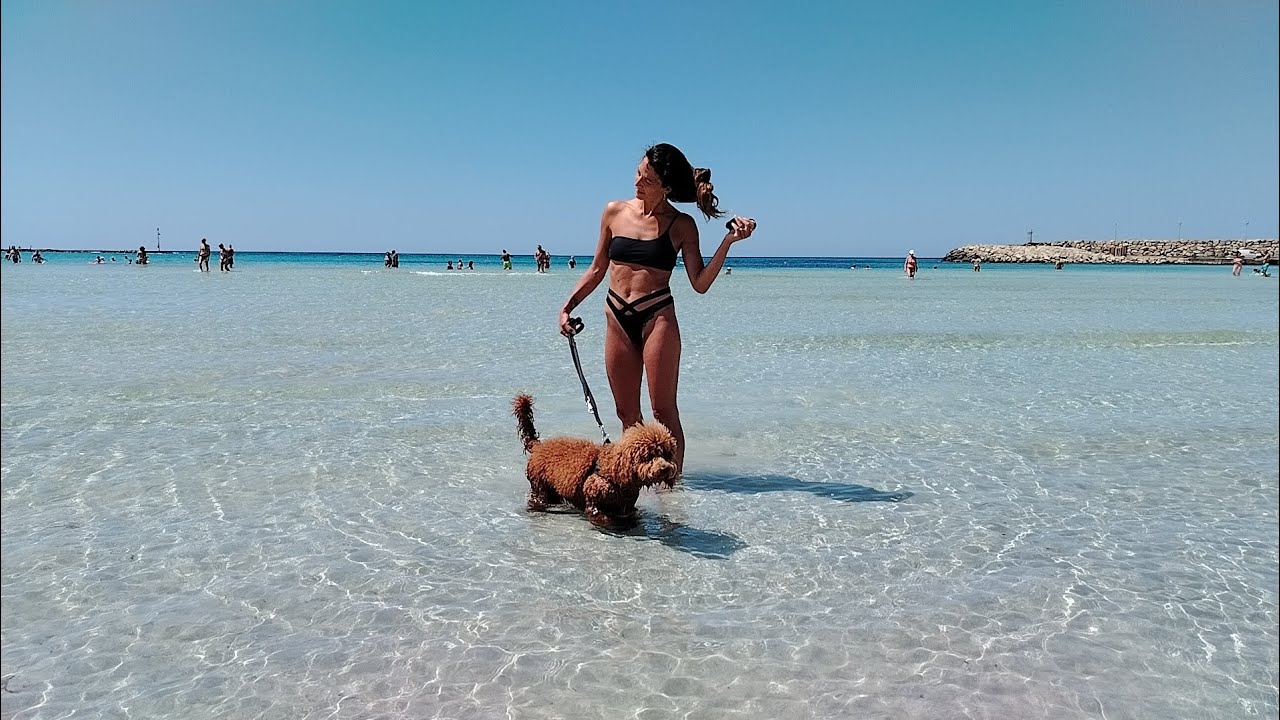 vacanze in Salento con la family e amico a 4 zampe 🐾