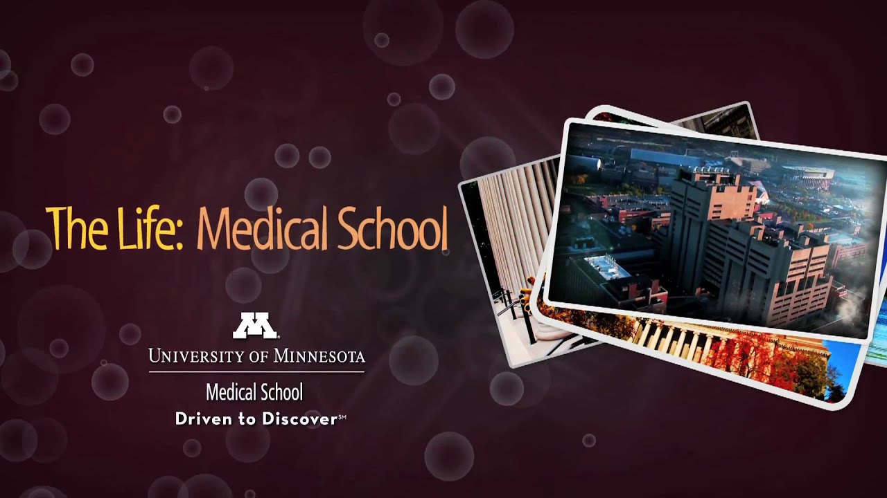 Medical School: Activities & Life