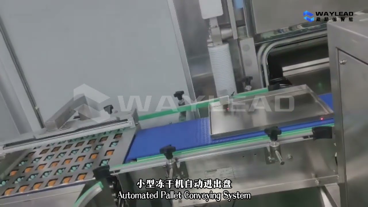 Automatic Plate Placing Robot Freeze Dryer