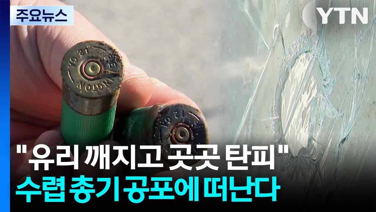 [제보는Y] 