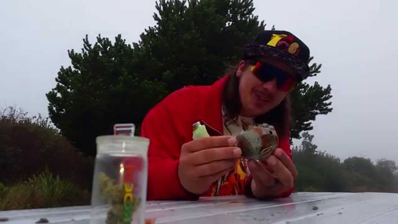FISH PIPE!!!!!!