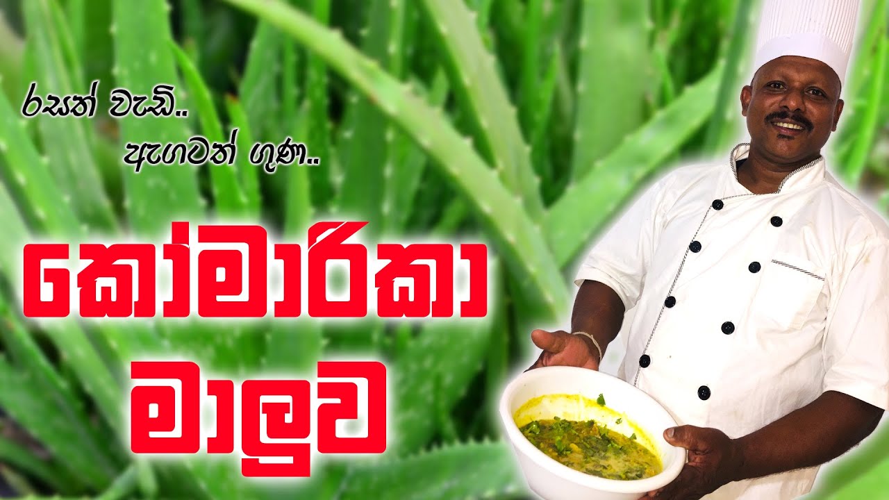 කෝමාරිකා මාලුව | Aloe Vera Currie | Cooking Village