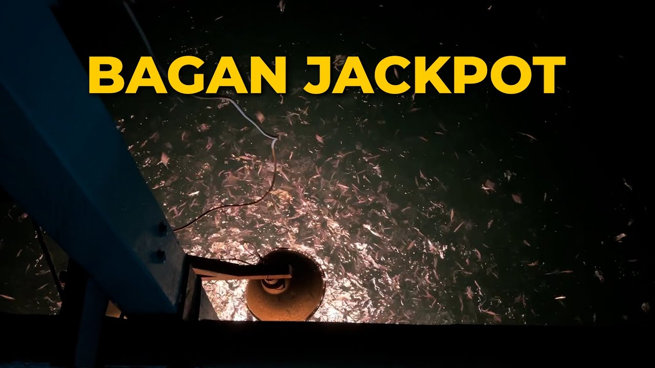 JACKPOT! | ASMR BEGINILAH SELAGI ADA HASIL TANGKAPAN IKAN DI BAGAN APUNG MUTIARALAUT 7 (suara alami)