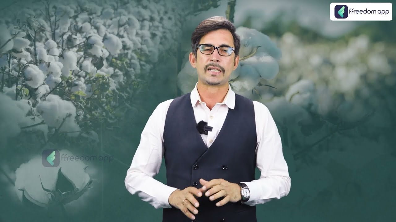 HDPS Technique in Cotton Farming | नरमा-कपास खेती | Top Cotton Varieties