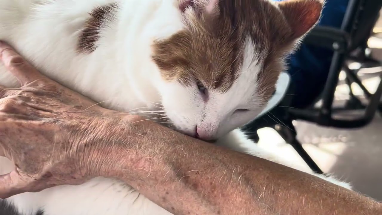 POPPING NOISE