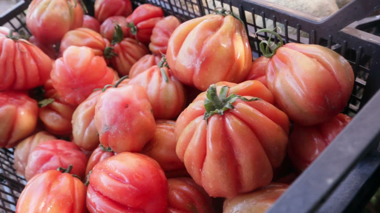 Frutta e verdura da Paolo