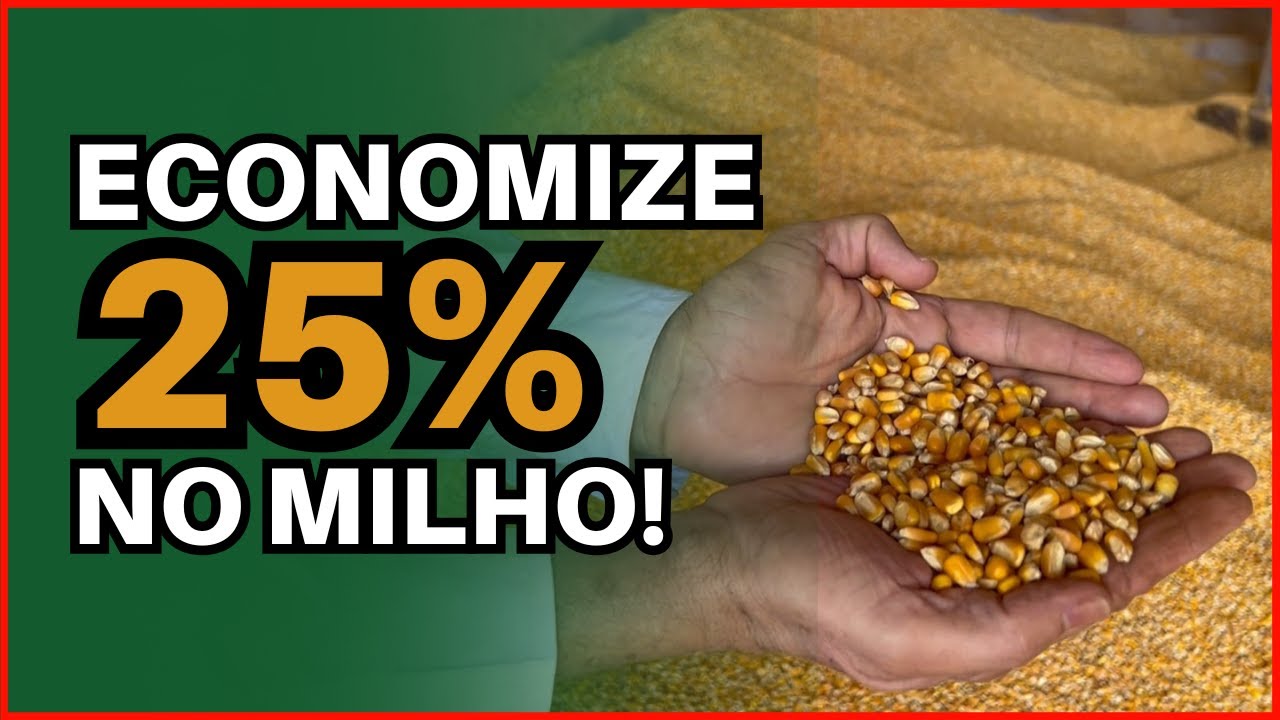 Passo a passo de como fazer Milho Grao Rehidratado