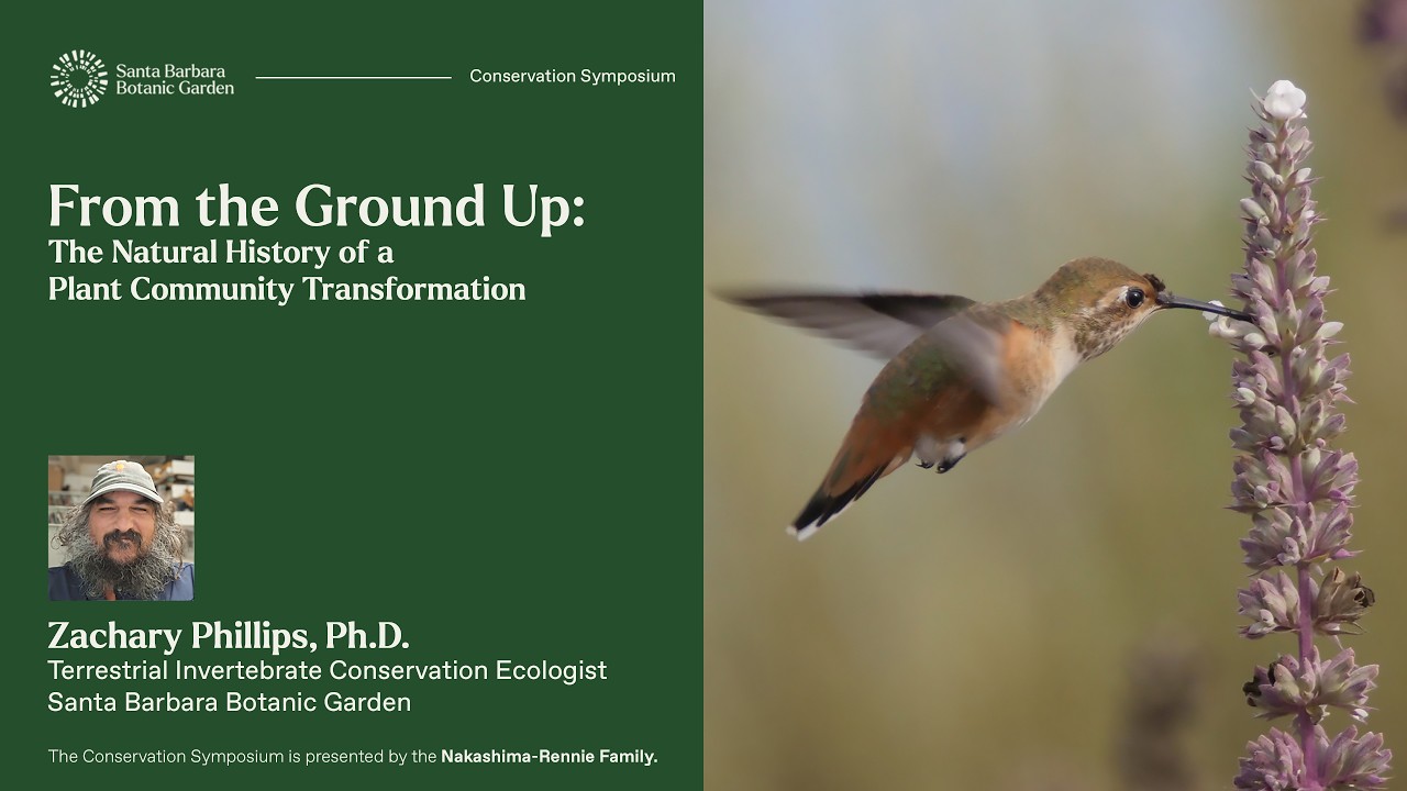 From the Ground Up: Natural History of a Plant Community Transformation | Zachary Phillips, Ph.D.