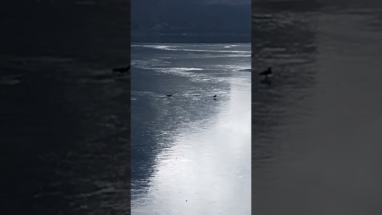 Changu lake update 