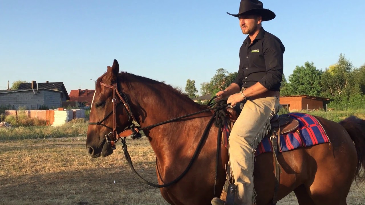 Patryk Maciąg Horsemanship 2019