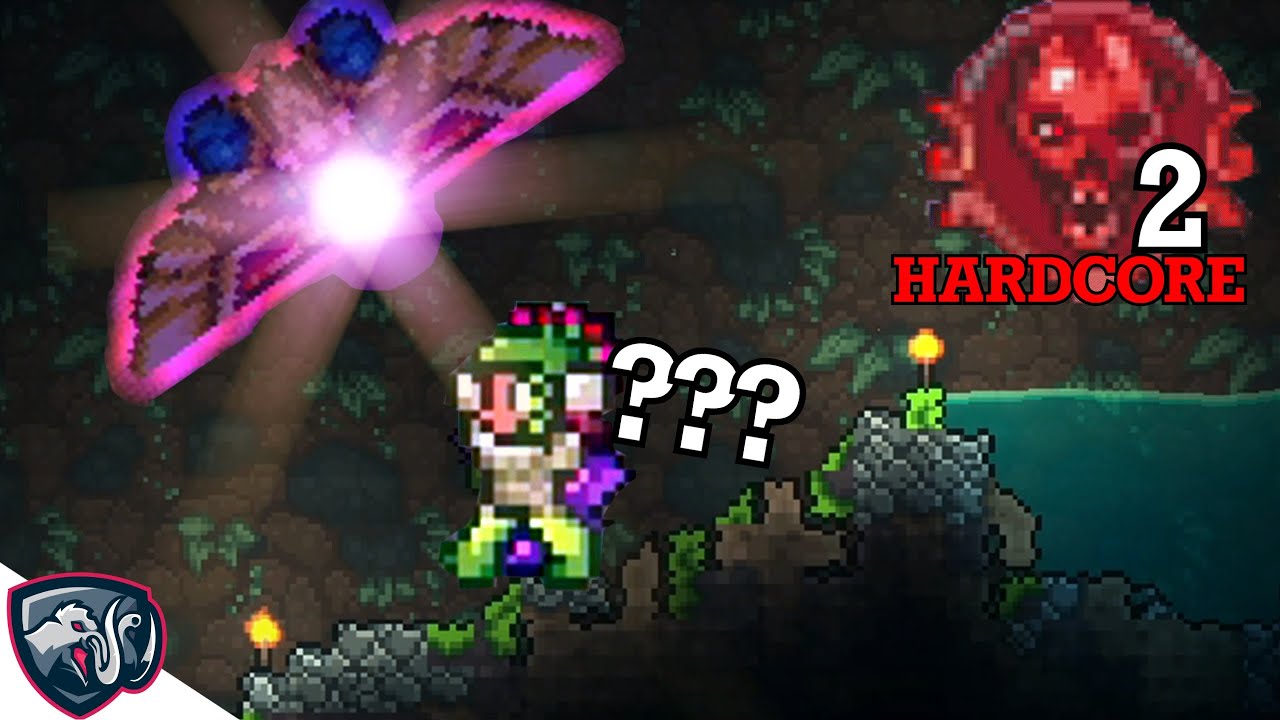 the most gamer [HARDCORE] Calamity playthrough you've ever seen (I kill a boss in this one)
