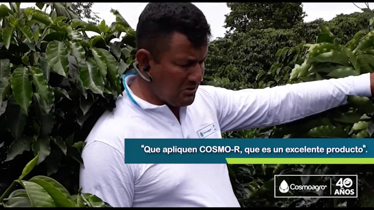 COSMO-R aumenta la rentabilidad del productor de Caf&eacute;