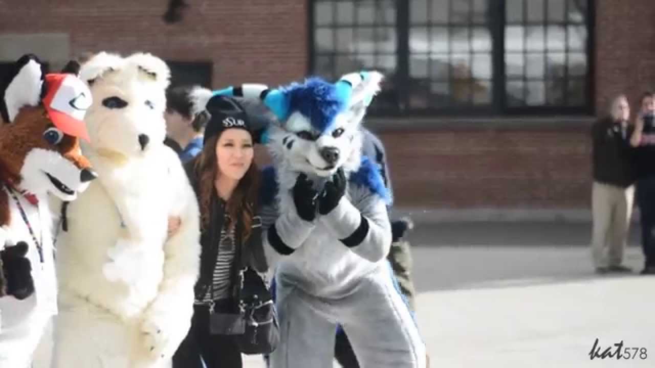 Fursuiting in Downtown TORONTO! (Toronto Furwalk 2015)