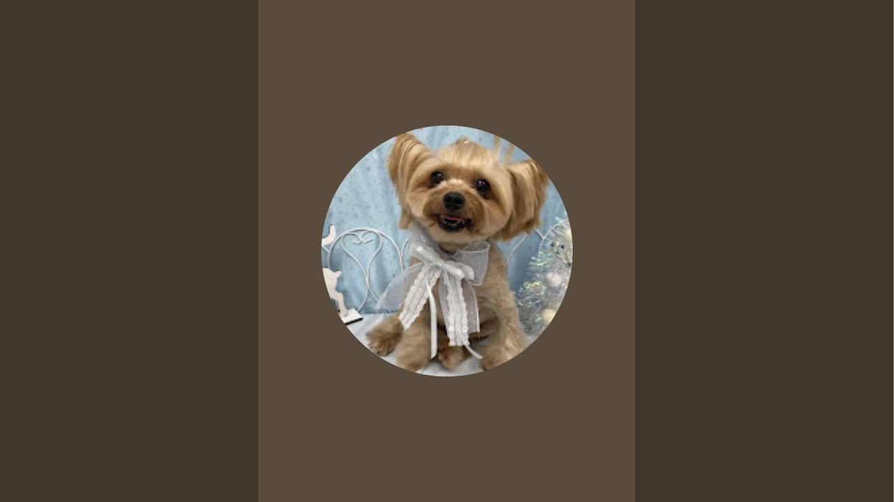 さっちんお散歩配信❣️