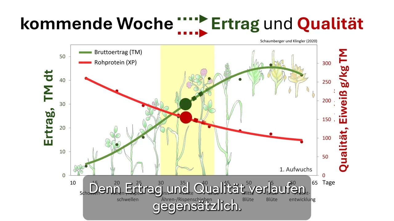 SatGrass App Gumpenstein - Tool zur Bestimmung des optimalen Schnittzeitpunkts im österreichisch...