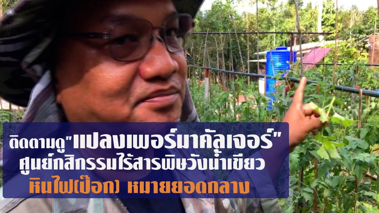 ติดตาม