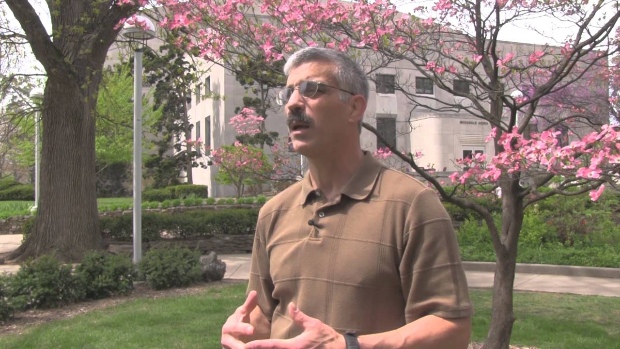 Moms in the wild: Biologists share maternal instincts of animal kingdom