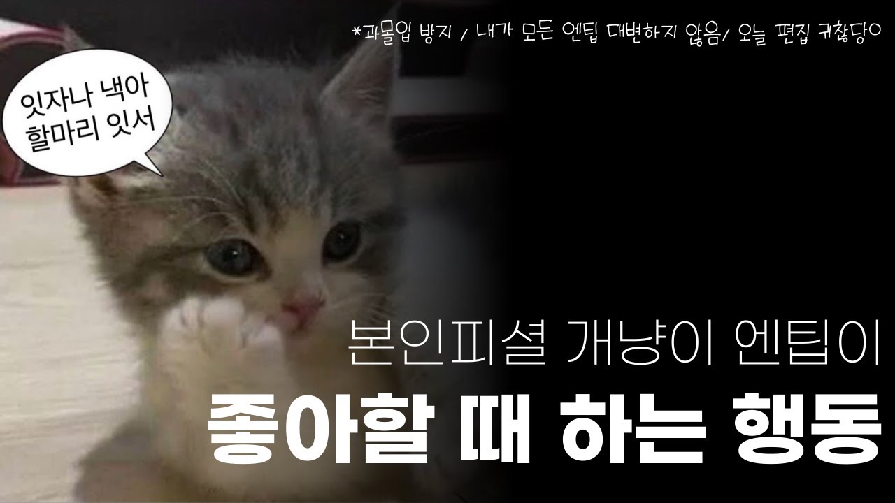 사랑꾼+또라이 ENTP가 좋아할 때 하는 행동🤦🏻&zwj;♀️ /연애&bull;썸&bull;플러팅