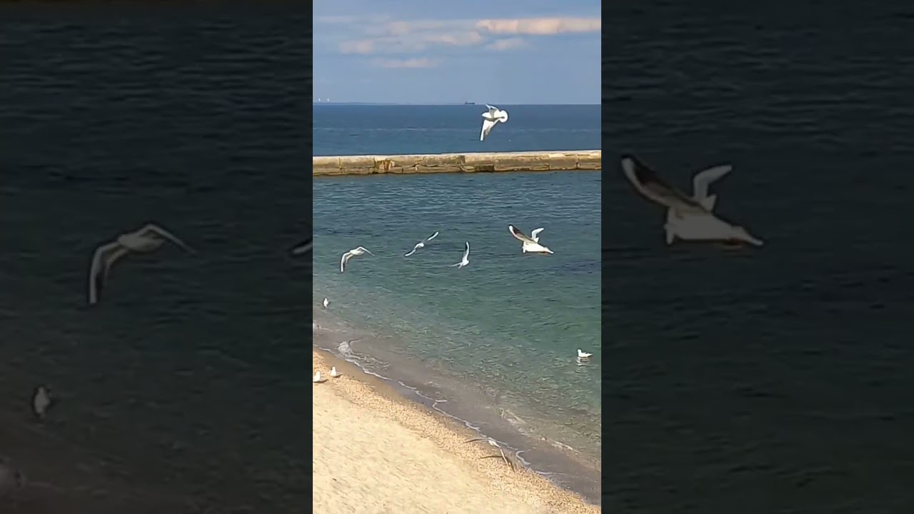 Black sea Odessa 