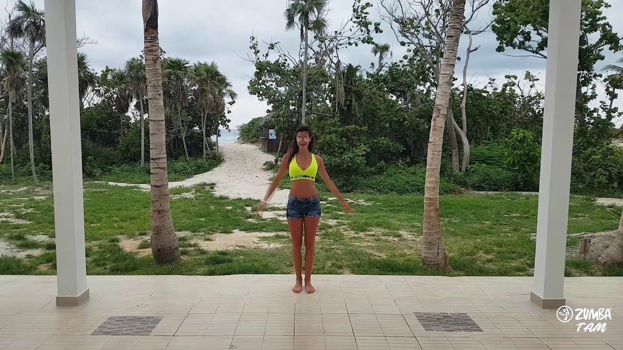 Steve Aoki Daddy Yankee Play-N-Skillz  Elvis Crespo - Azukita Merengue EDM ZIN™ Vol.73