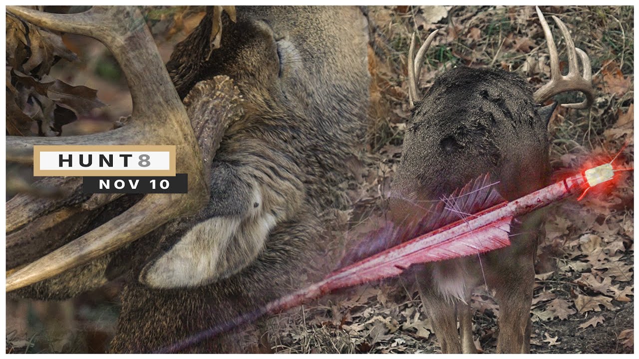 10 BUCKS And My First Deer With A Recurve