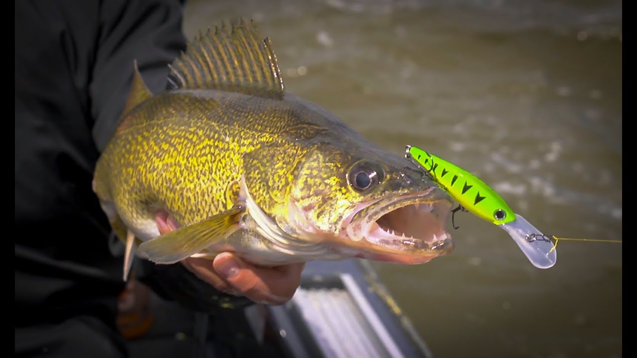 Smash Mouth Walleye on the Fox River at De Pere, WI - In-Depth Outdoors TV Season 8, Episode 22