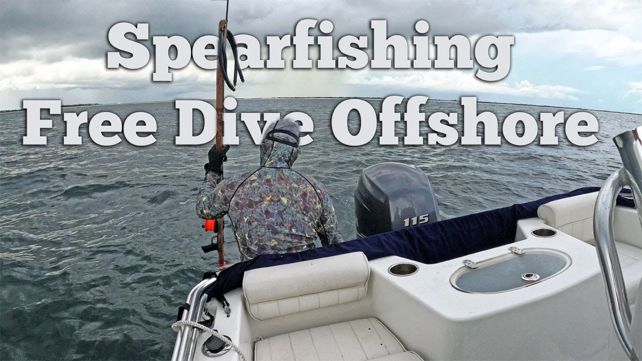 Spearfishing Free Dive Offshore