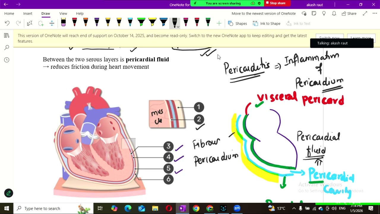 Cardiovascular system for HA/ Nursing