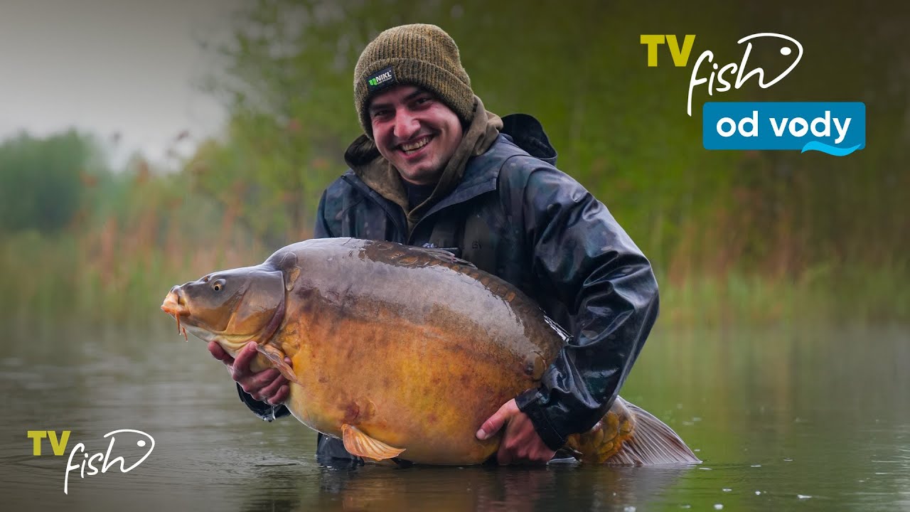 Lov kaprů na ČESKÉ pískovně s Exil Carplife | TV Fish produkce Od vody