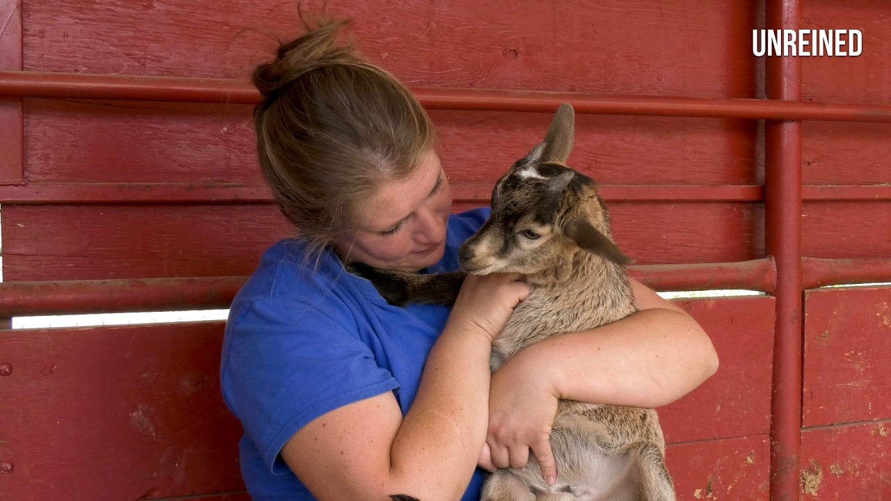 DISASTER RESCUE | She Gave Up 7 Weeks So No Animal Would Be Left Behind #unreined #horserescue