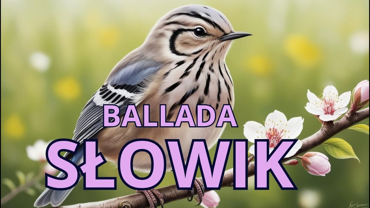 Zakochany Słowik 🌌🎶Ballada o miłości 🕊️🌠Mikronek Art zaprasza