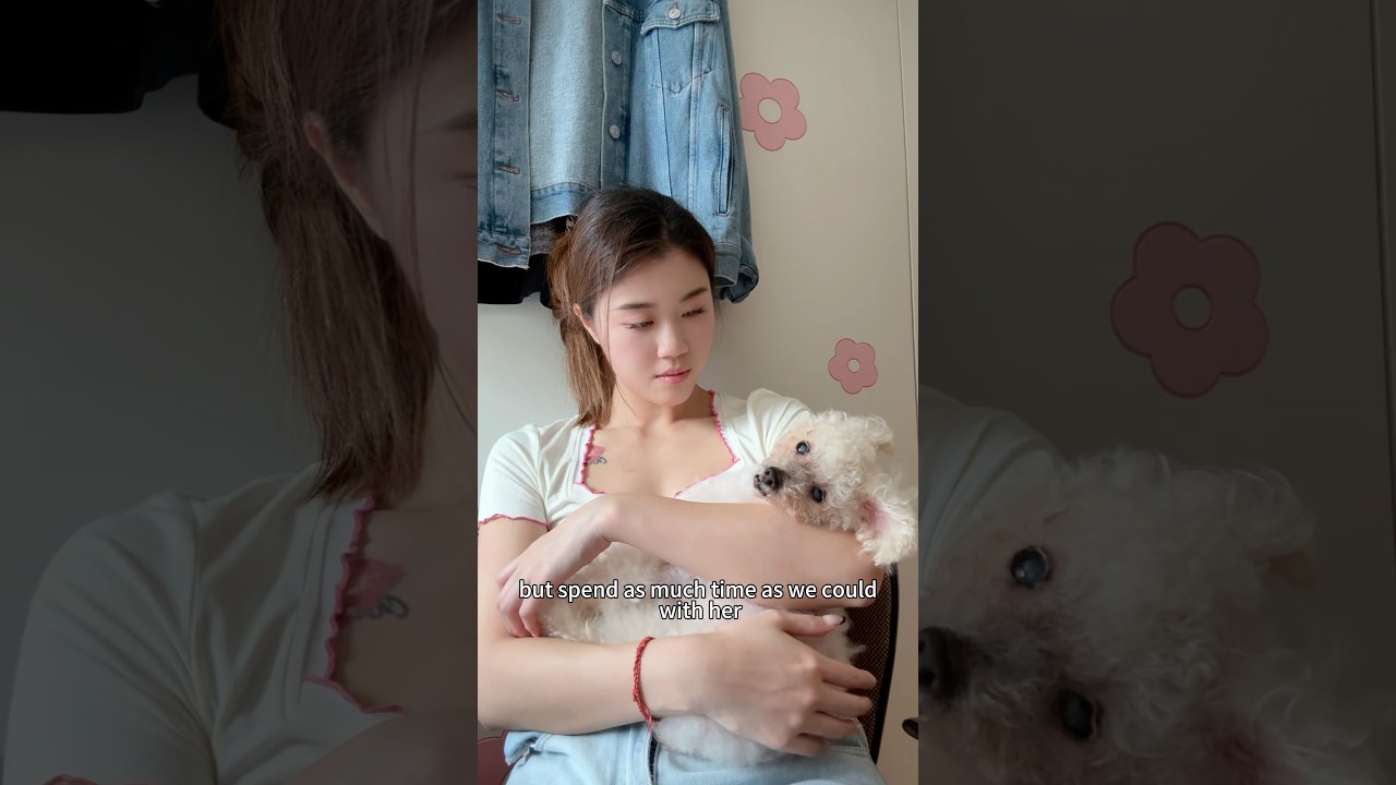 Let&rsquo;s pray for her 🐶 #shorts #couple #relationship