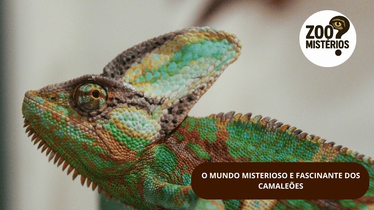O MUNDO MISTERIOSO E FASCINANTE DOS CAMALEÕES